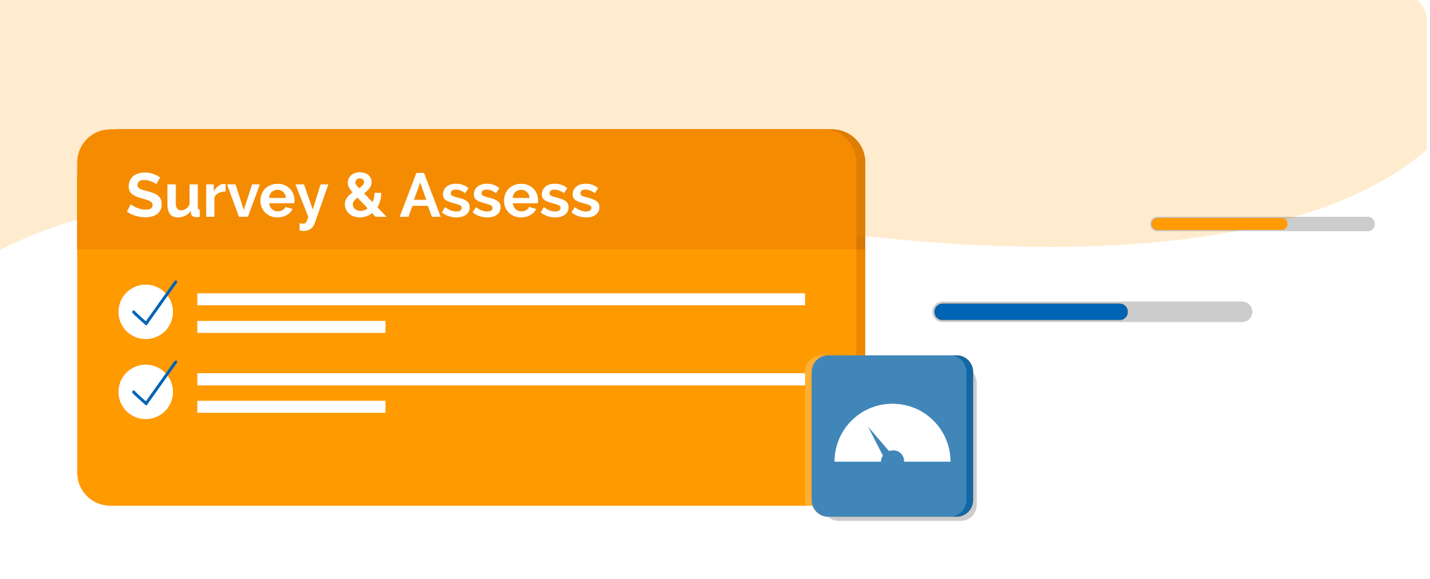 Survey & Assets