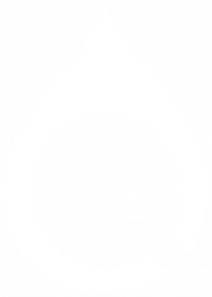 Quensus Logo 1:1 white