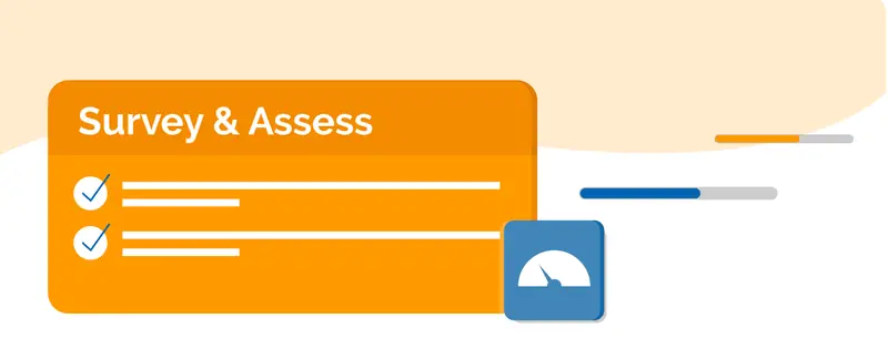 Survey & Assets
